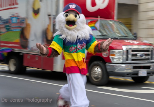 Pride, Washington, USA