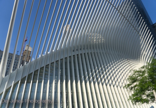 Boney Building