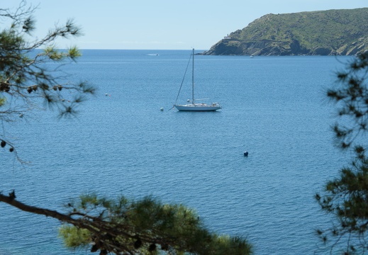 A lonely boat