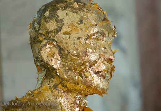 The golden face