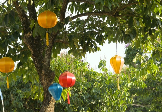 Hanging Vietnamese lanterns.