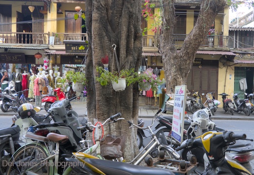 Bikes, bikes and more bikes