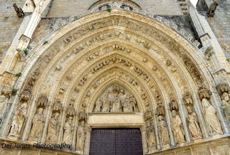 _DJP0595.jpg