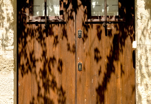  A tree dappled door