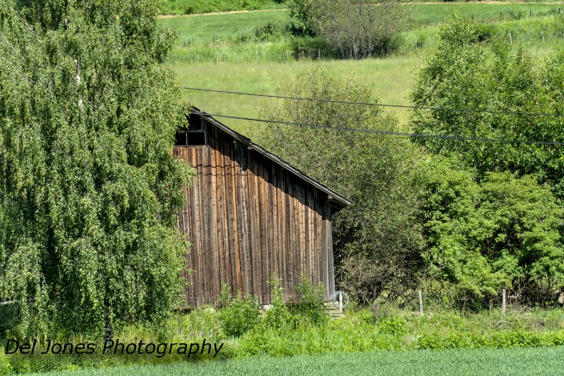 _DJP0680.jpg