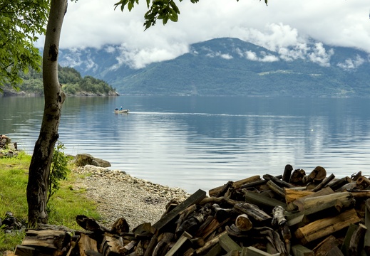 Logs