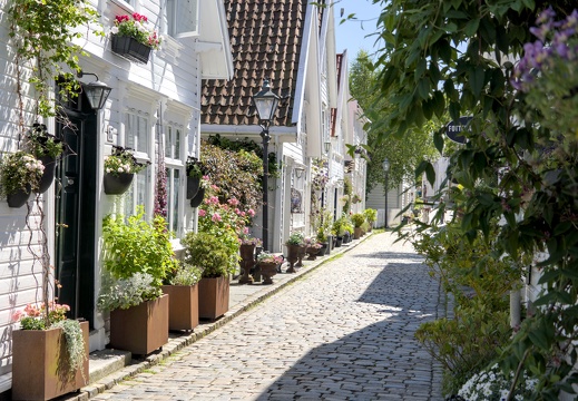 Down our sunny street