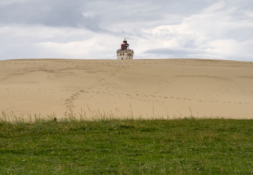 white, brown and green