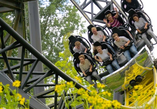 Joy of Gravity again