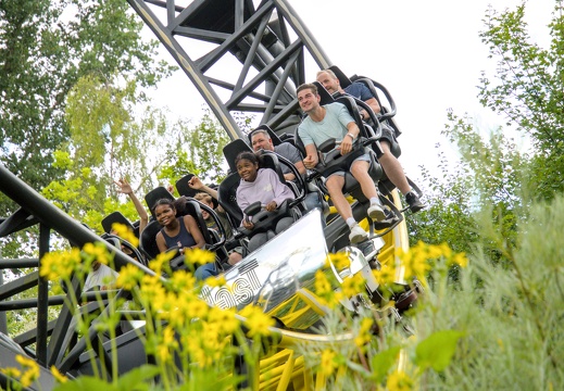 Amusement Parks & Rides