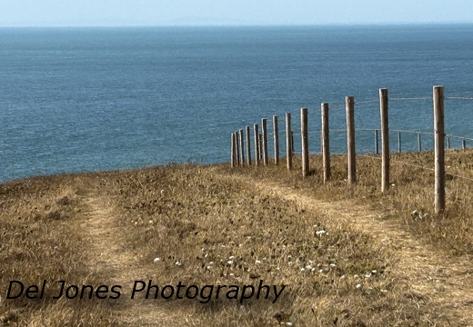 Posts in a field