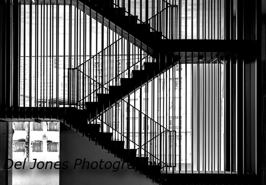 3 fluttering flights