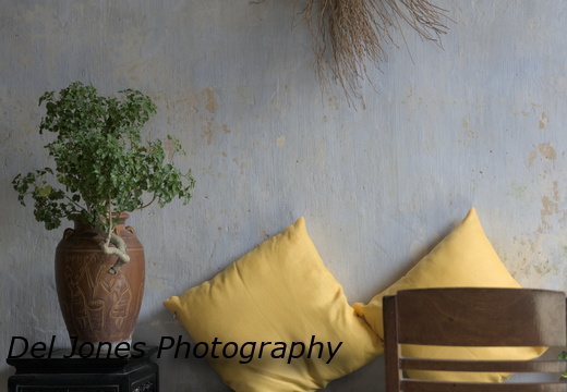 Cushions in contrast