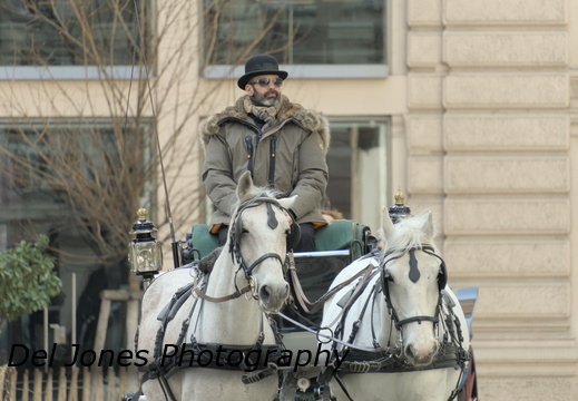 The horse and cart mafia!
