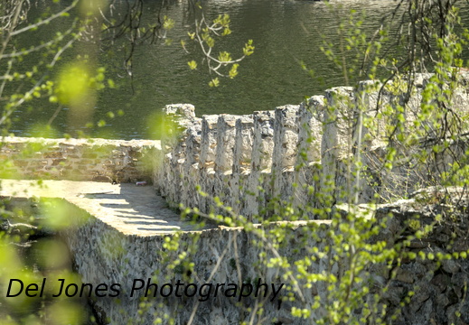 Down by the river side