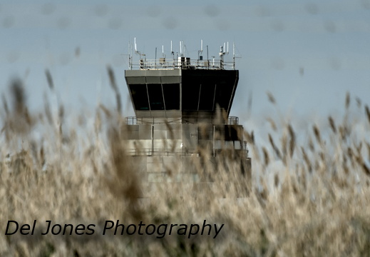 Stalking in the reeds