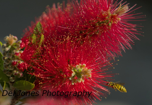 Almost... One last push