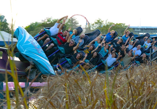 Mako at Seaworld Florida in the weeds