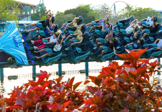 Mako at Seaworld Florida from the side