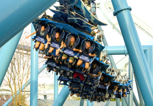 Manta at Seaworld Florida from the front