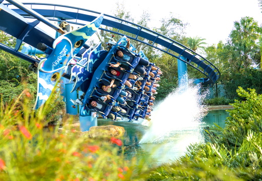Manta at Seaworld Florida big splash