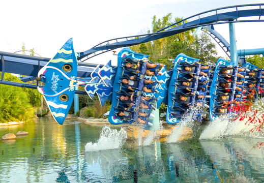 Manta at Seaworld Florida side splash