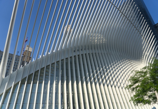 Boney Building