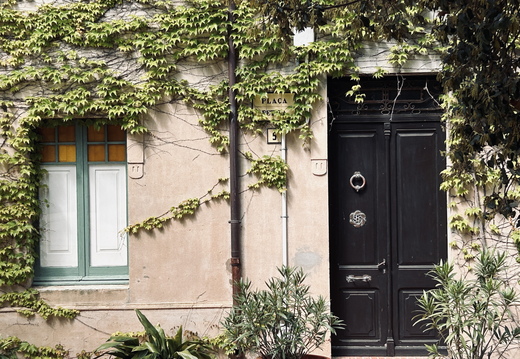 The door and the window