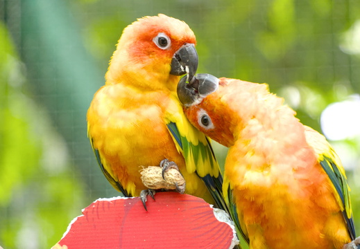 Give me some!