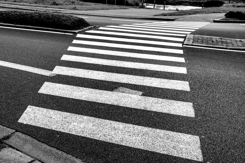 blackWhite021.jpg