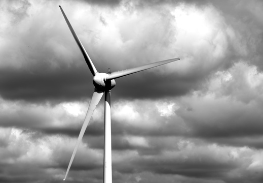 Windmills of your mind