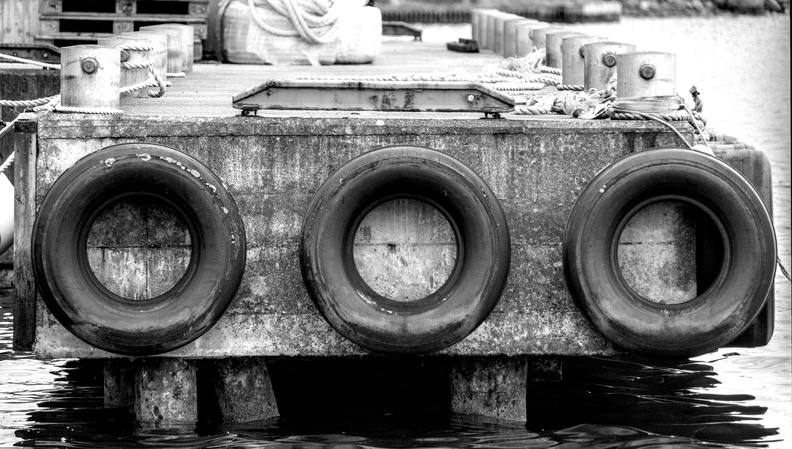 blackWhite055.jpg