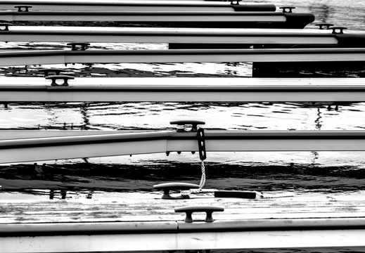 blackWhite056