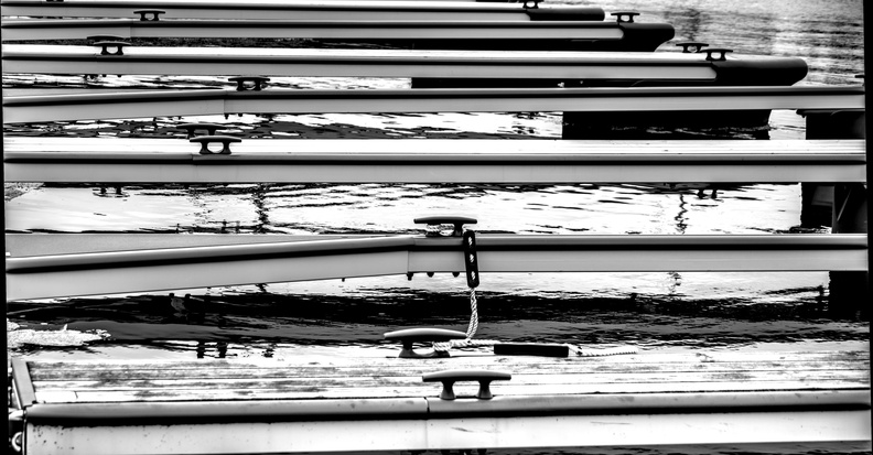 blackWhite056.jpg