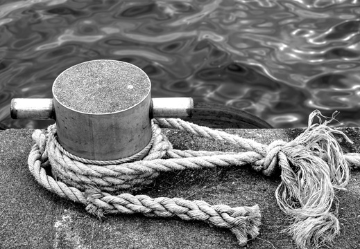 blackWhite058