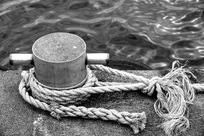 blackWhite058.jpg