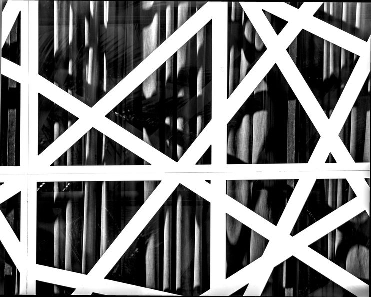 blackWhite076.jpg