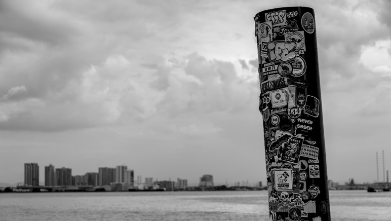 blackWhite081.jpg