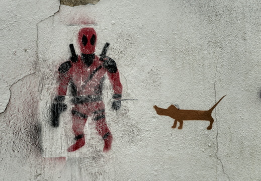 A dog and his mate