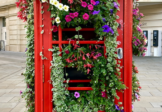Who's Calling...?
