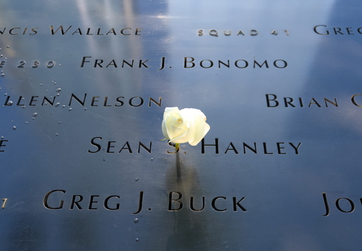 A flower in marble