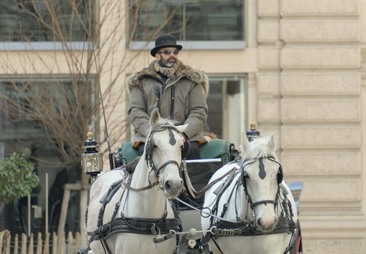 The horse and cart mafia!