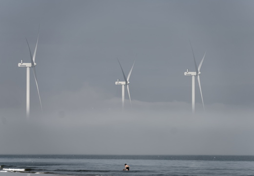 A lone swimmer