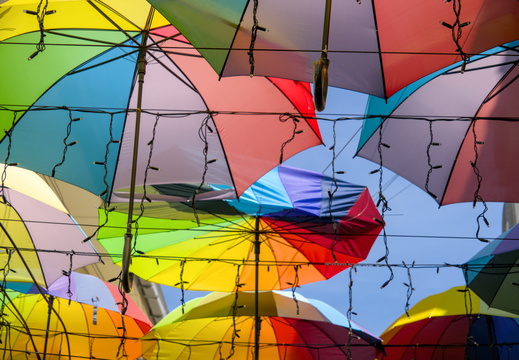 Colour in the rain