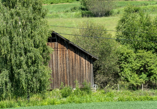 A shed in a field
