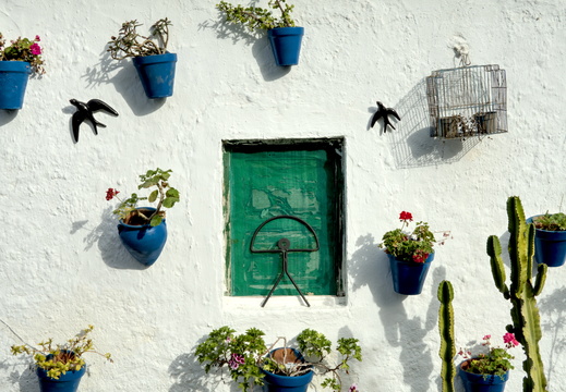 The green window