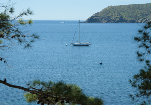 A lonely boat in the bay