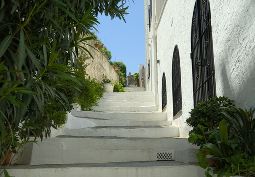 Steps to where?