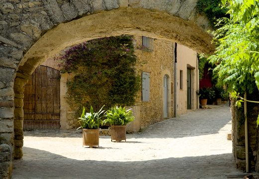  Potted plants