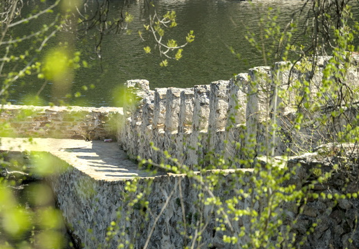 Down by the river side